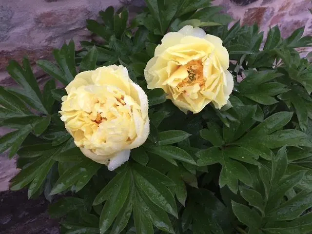 Corte Capitani Alojamento de Acomodação e Pequeno-almoço