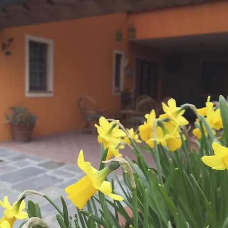 Bed & Breakfast Corte Capitani